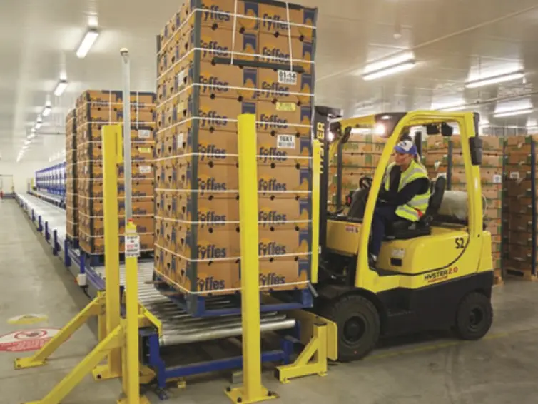 pallet truck moving boxes from conveyor system.